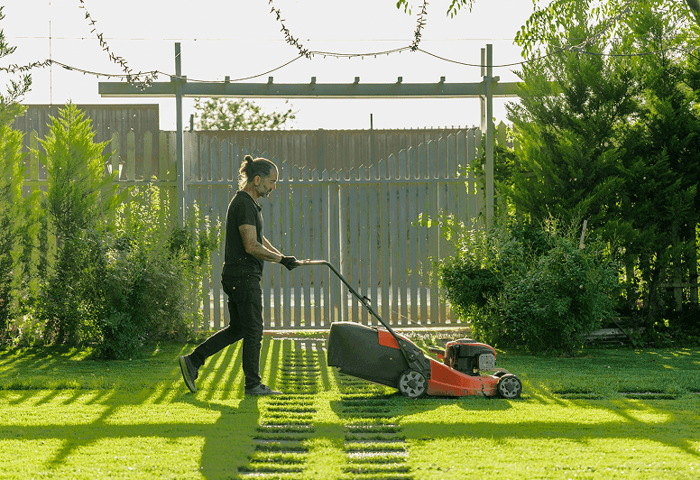 Freshly striped lawn mowed at golden hour